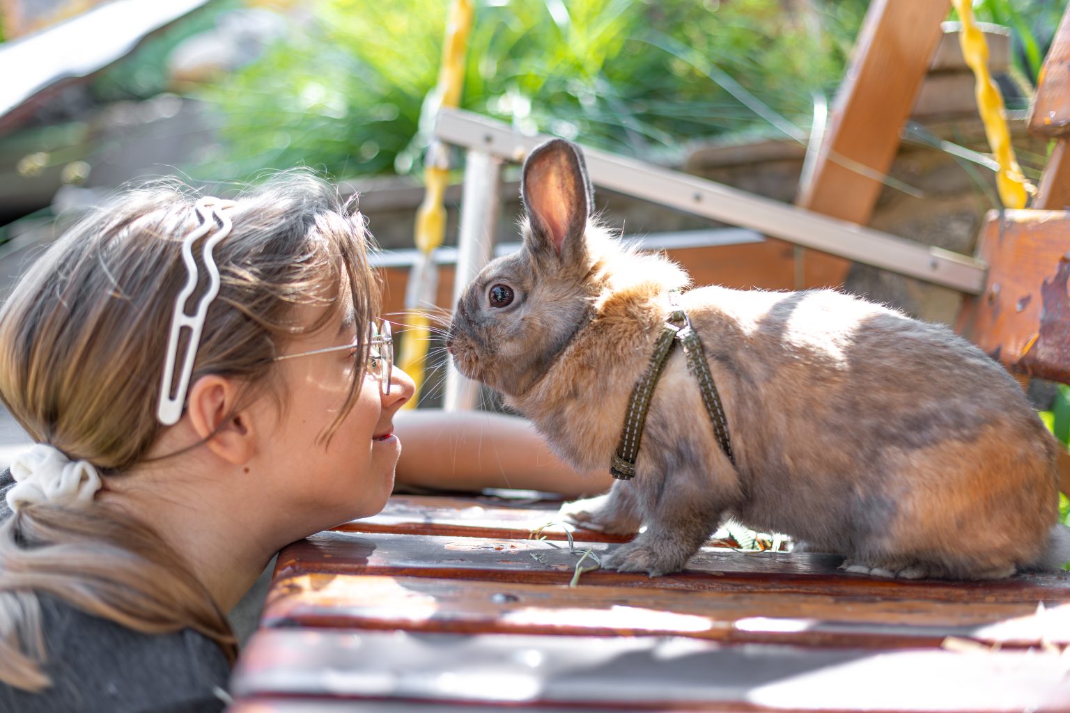 Rabbet Science Do Rabbits Think You’re a Rabbit? The Science Revealed
